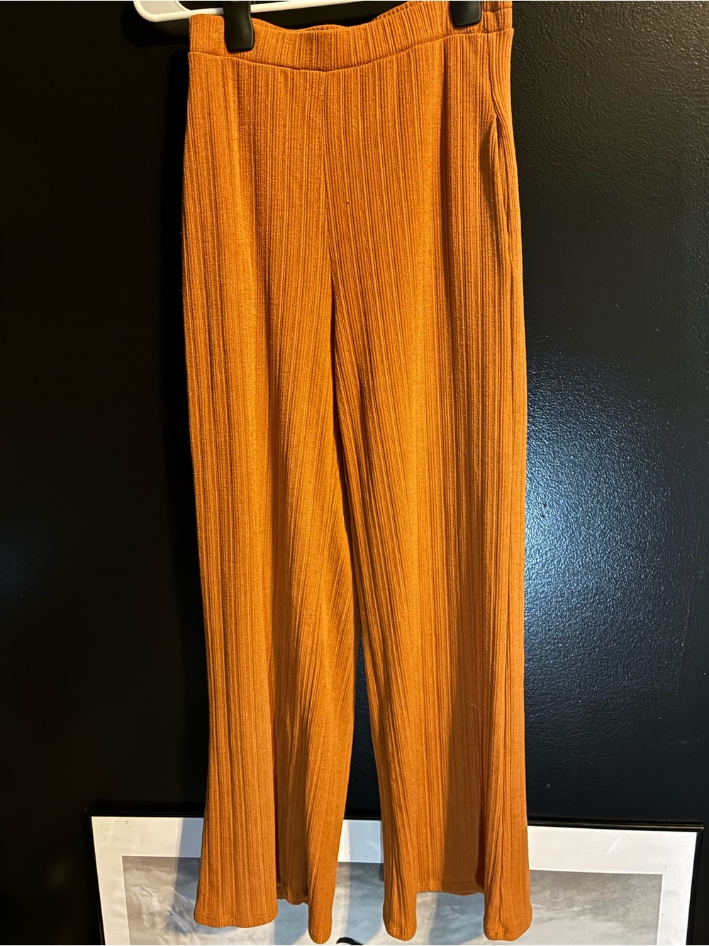 Sienna Sky Ribbed Wide-Leg Pants in Burnt Orange